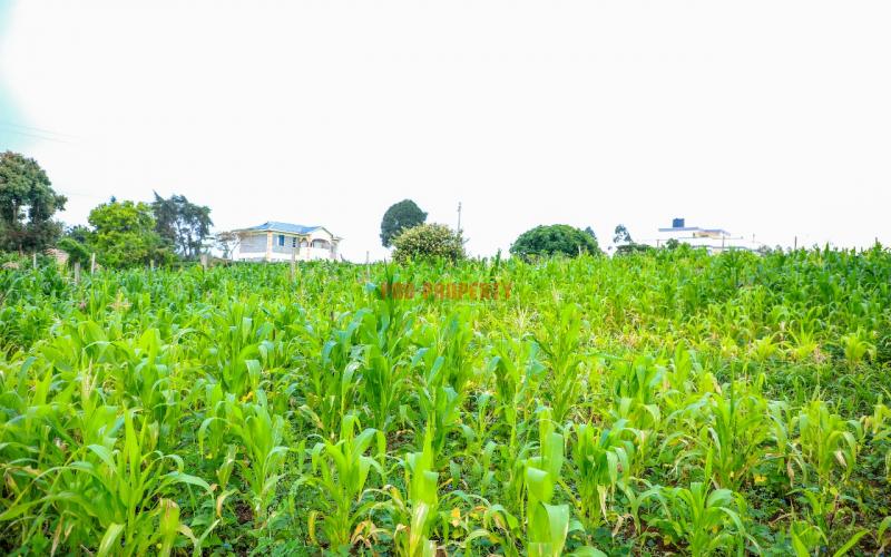 Prime 60 By 100 Residential Plots For Sale In Kikuyu Kamangu.