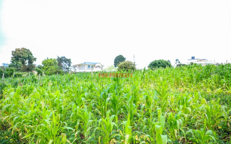 Residential Plots For Sale In Kamangu,kikuyu