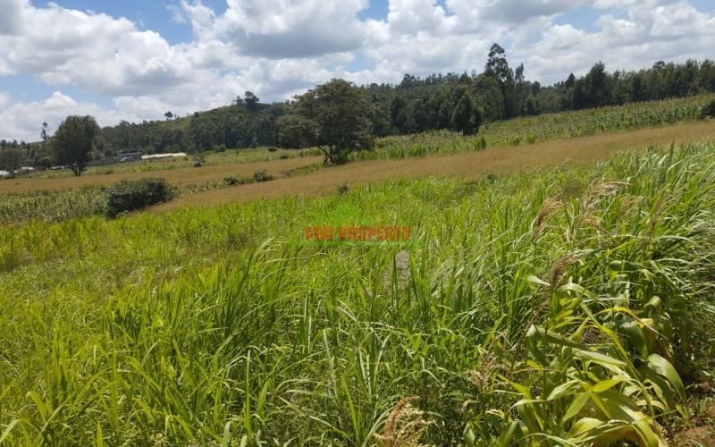Prime 50*100 Ft Residential Plots For Sale In Kikuyu- Lusigetti