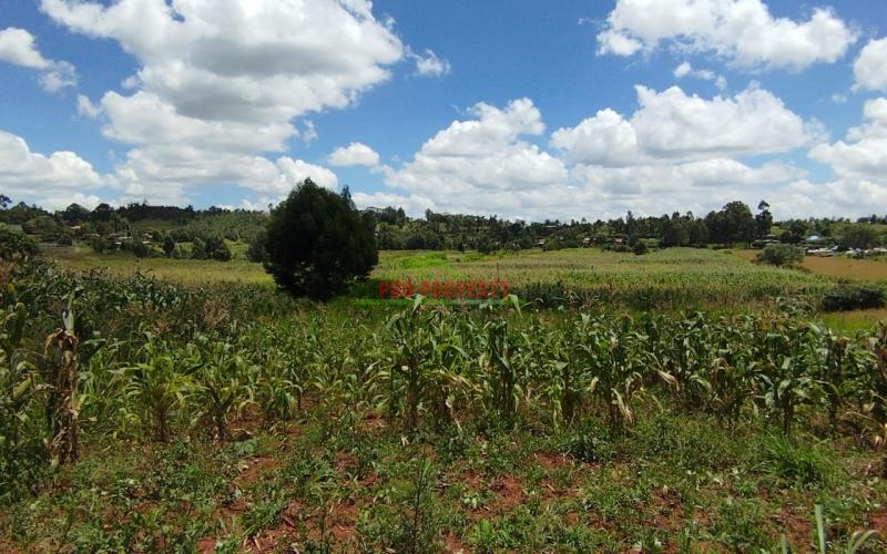 Prime 50*100 Ft Residential Plots For Sale In Kikuyu- Lusigetti