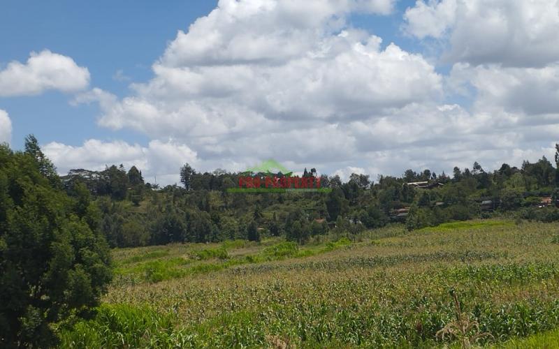 Prime 50*100 Ft Residential Plots For Sale In Kikuyu- Lusigetti