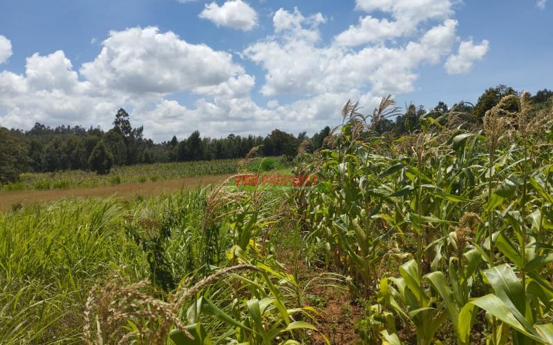 Prime 50*100 Ft Residential Plots For Sale In Kikuyu- Lusigetti