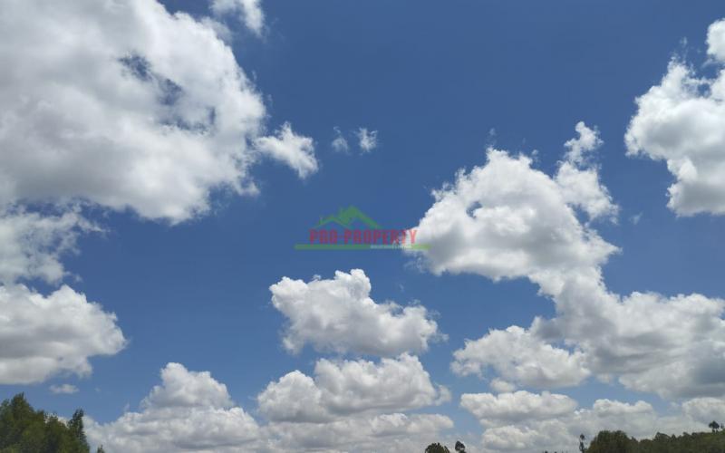 Prime 50 By 100 Residential Plots For Sale In Kikuyu Kamangu Lusigetti.