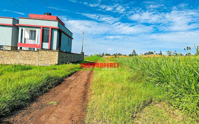 PRIME 50 BY 100ft PLOTS FOR SALE!!! IN KAMANGU