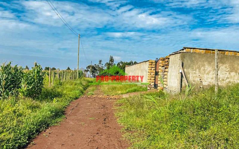 Prime 50 By 100ft Plots For Sale!!! In Kamangu