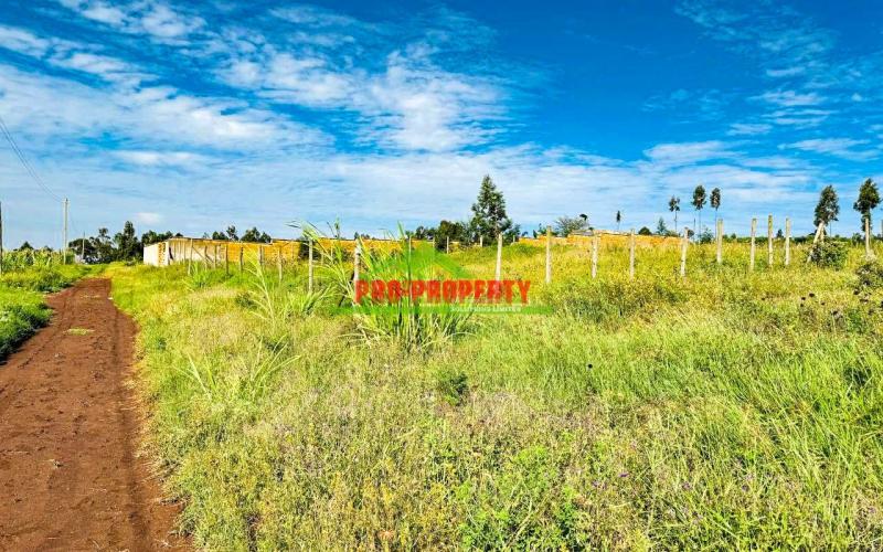 Prime Residential Plot For Sale In Kikuyu, Kamangu