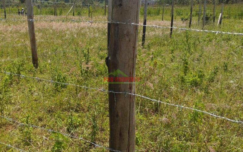 Prime 50*100 Ft Residential Plots For Sale In Kikuyu- Lusigetti