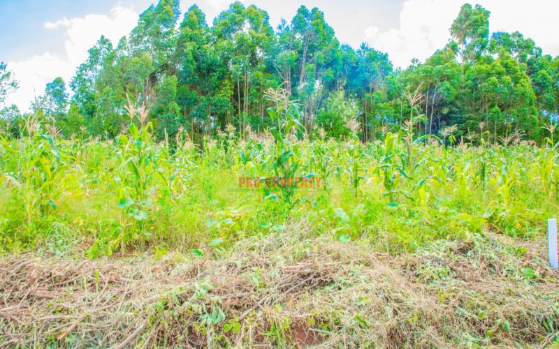 Prime Residential Plots For Sale In Gikambura, Jambu Tv.