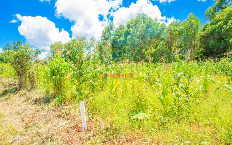 Prime Residential Plots For Sale In Gikambura, Jambu Tv.