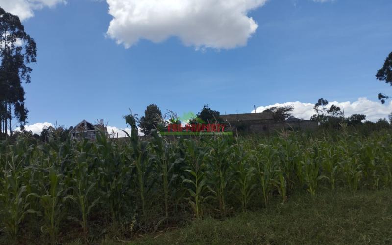 Prime 1/2 An Acre Residential Plot For Sale In Kikuyu - Lusigetti