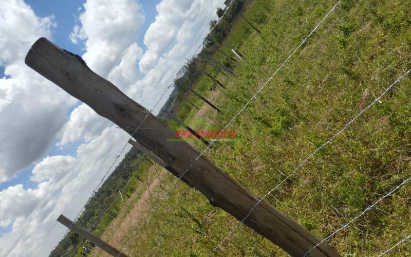 Prime 50 By 100 Residential Plots For Sale In Kikuyu Lusigetti.