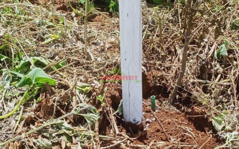 Prime 50 By 100 Ft Plots In Kikuyu, Gikambura