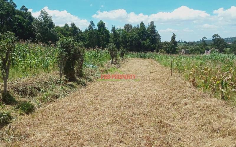 Prime 50 By 100 Ft Plots In Kikuyu, Gikambura