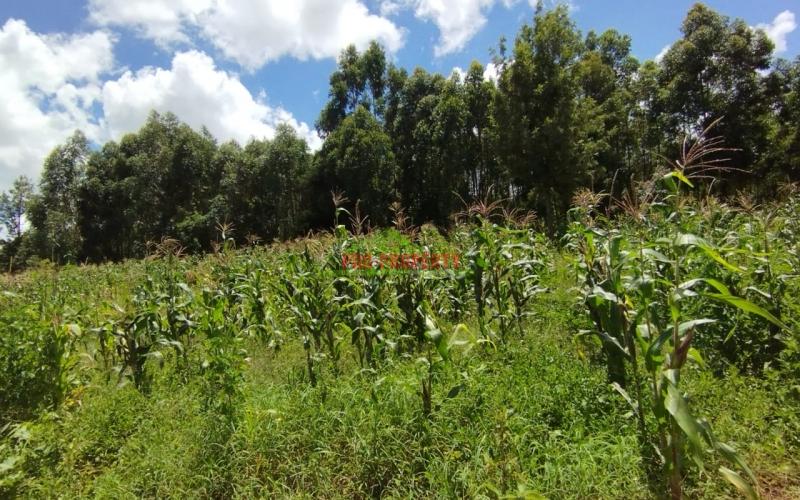 Prime 50*100 Ft Residential Plots For Sale In Kikuyu-gikambura