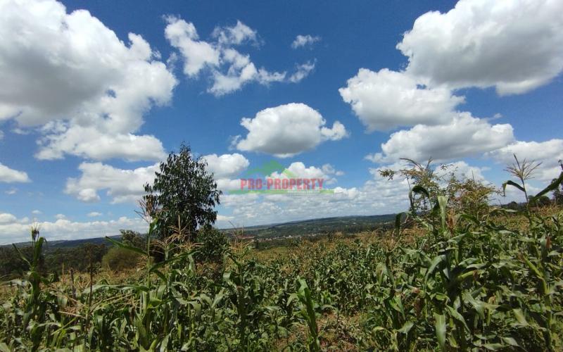 Prime 50*100 Ft Residential Plots For Sale In Kikuyu-gikambura