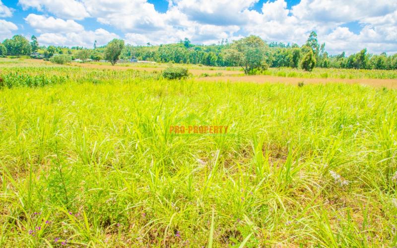 Prime 50 By 100 Ft Residential  Plots  In Kikuyu,lusigetti