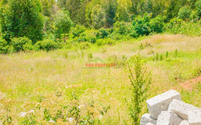 Prime Residential Plots For Sale In Kikuyu, Lusingetti