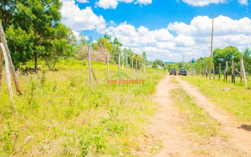 A1 50 By 100ft Plots For Sale In Lusingetti