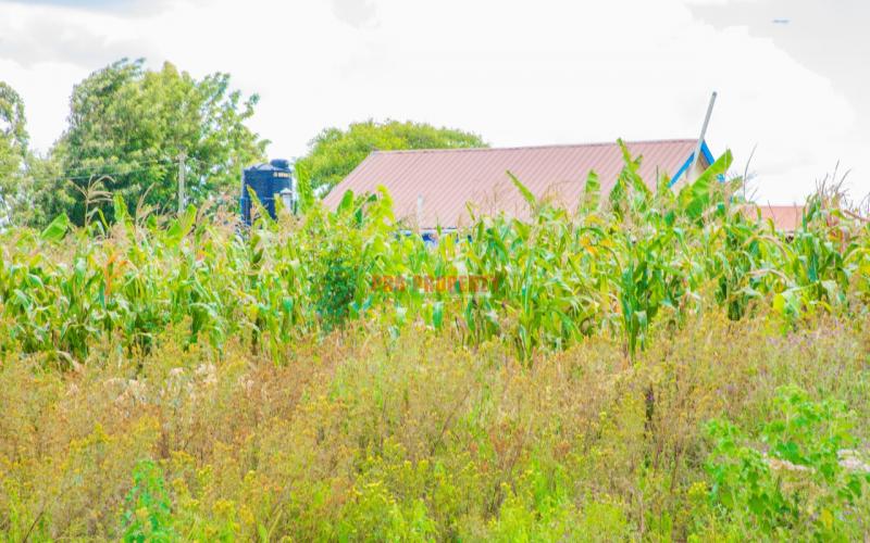 Prime 50 By 100 Residential Plots For Sale In Kikuyu Kamangu Lusigetti