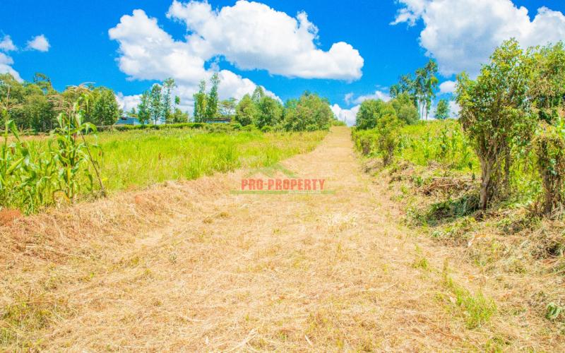 Prime 50*100ft Residential Plot For Sale In Kikuyu, Gikambura