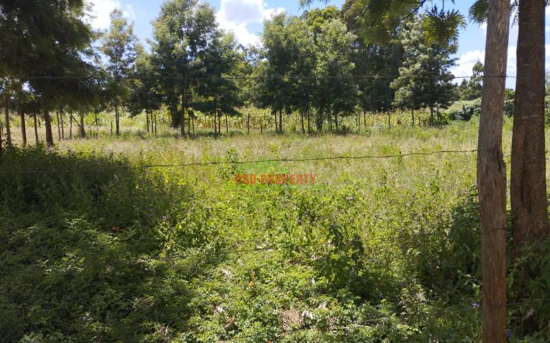 Prime 50*100 Ft Residential Plots For Sale In Kikuyu- Gikambura