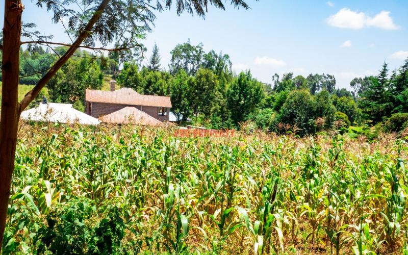 Prime 100by100ft Residential Plot For Sale In Kikuyu, Kamangu