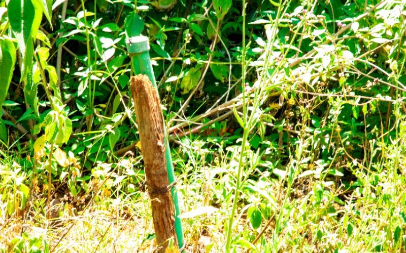 High-end Controlled Gated Community Plots For Sale!! In Gikambura