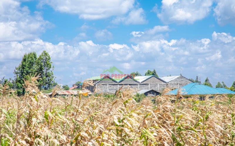 Prime Residential Plot For Sale In Kikuyu, Kamangu