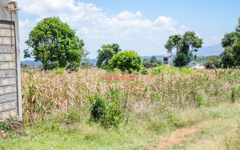 Prime Residential Plot For Sale In Kikuyu, Kamangu
