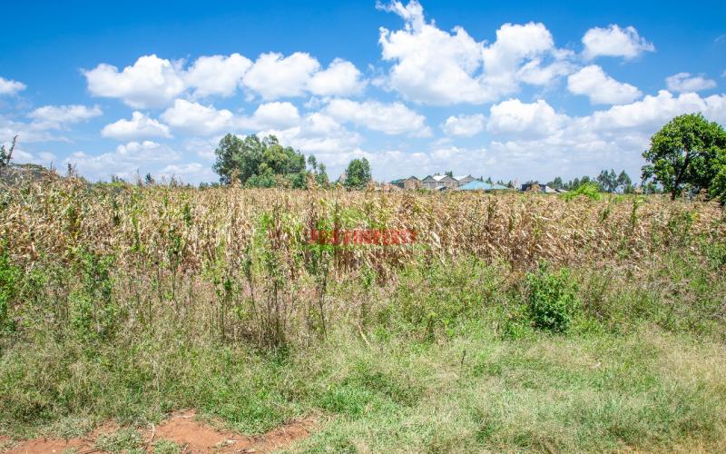 Prime Residential Plot For Sale In Kikuyu, Kamangu