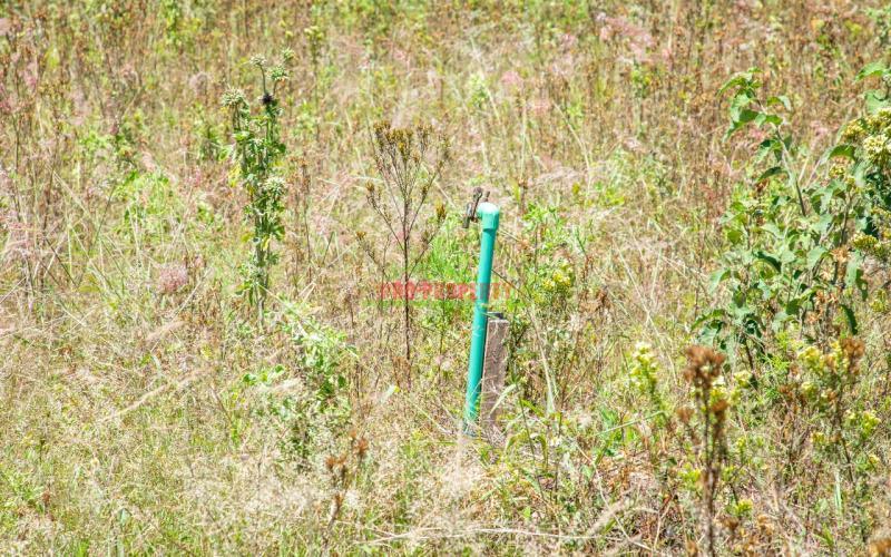 Prime 50 By 100ft Residential Plot For Sale In Kikuyu, Kamangu