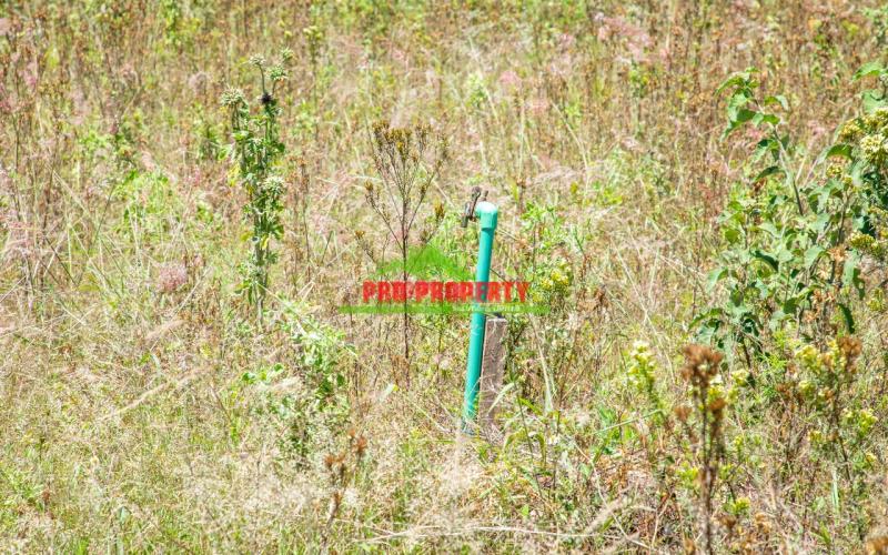 Prime 50 By 100 Ft Residential Plot For Sale In Kikuyu-kamangu