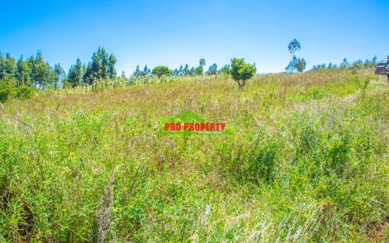 Prime 50 By 100 Ft Residential Plots For Sale In Kikuyu-kamangu