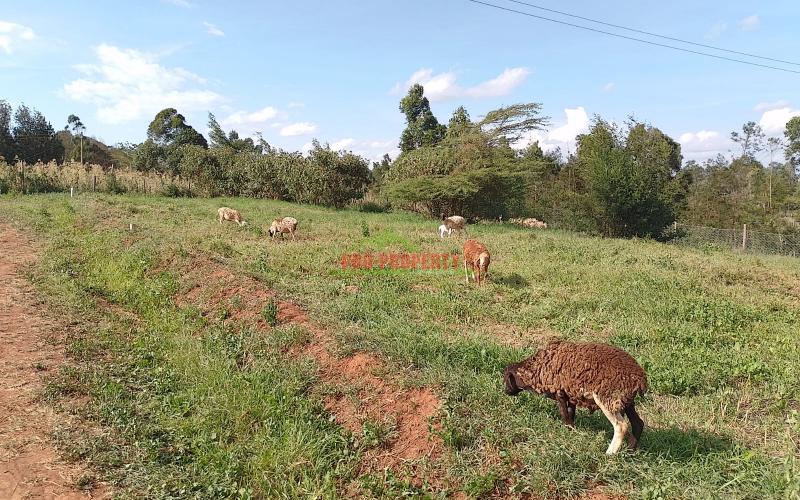 Prime Residential Plot For Sale In Kikuyu, Kamangu