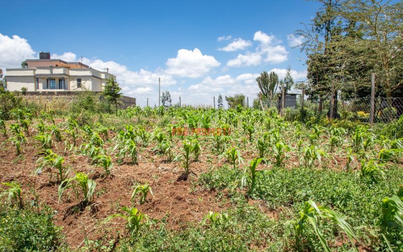 Prime Residential Plot For Sale In Kikuyu, Kamangu