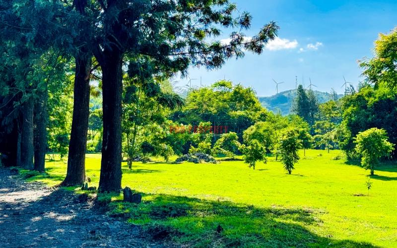 Prime Residential Plots For Sale In Ngong (tulivu Estate.)