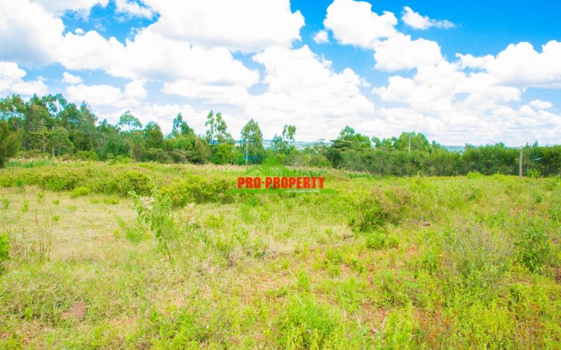 Prime Plots For Sale In Kamangu, Kikuyu
