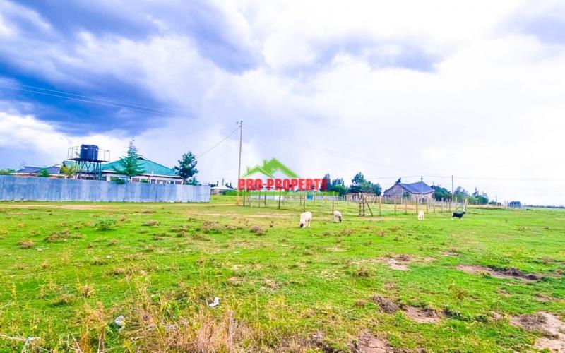 Prime Plots For Sale In Nanyuki,baraka