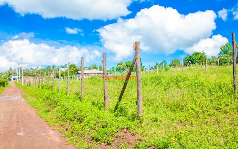 Prime  50 By 100 Ft Residential Plot For Sale In Kikuyu ,rose Gate