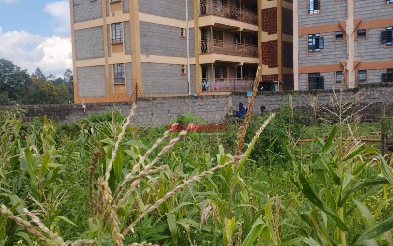 Prime 100by100 Plot For Sale In Sigona-kikuyu