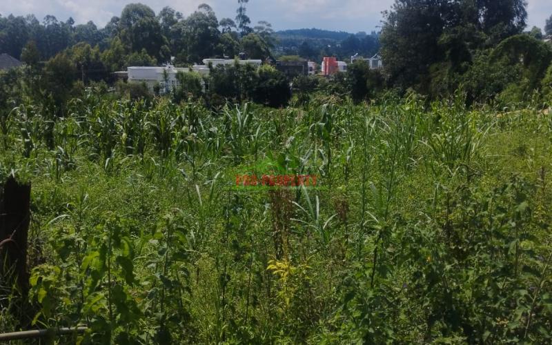 Three Eighth Plot For Lease In Gikambura-kikuyu
