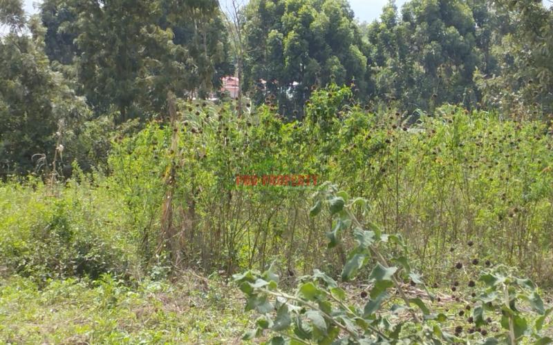 Prime 70 By 100 Ft Residential Plot For Sale In Kikuyu- Gikambura
