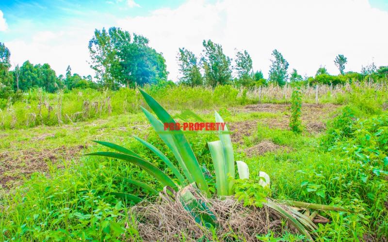 Prime Plots For Sale!!! In Gikambura