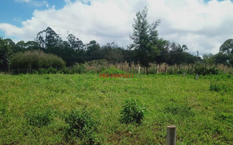 Prime 50 By 100 Ft Residential Plot For Sale In Kikuyu-migumuuini