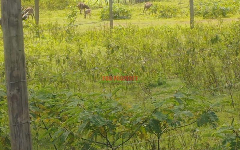 Prime 80by100ft Residential Plot For Sale In Kikuyu-gikambura