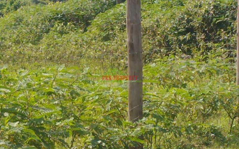 Prime 80by100ft Residential Plot For Sale In Kikuyu-gikambura