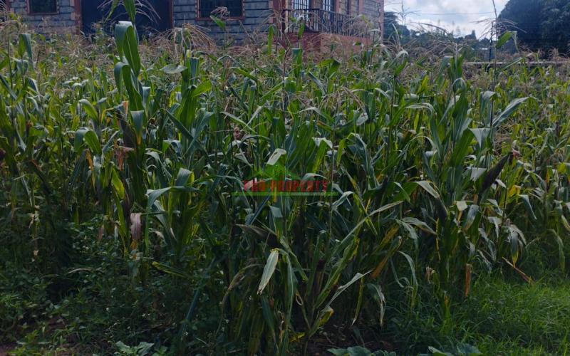 Prime 50by100ft Residential Plot For Sale In Kikuyu-gikambura