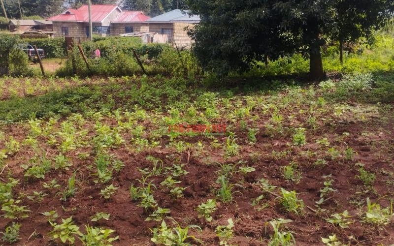 50*100ft Prime Residential Plot For Sale In Kikuyu-gikambura