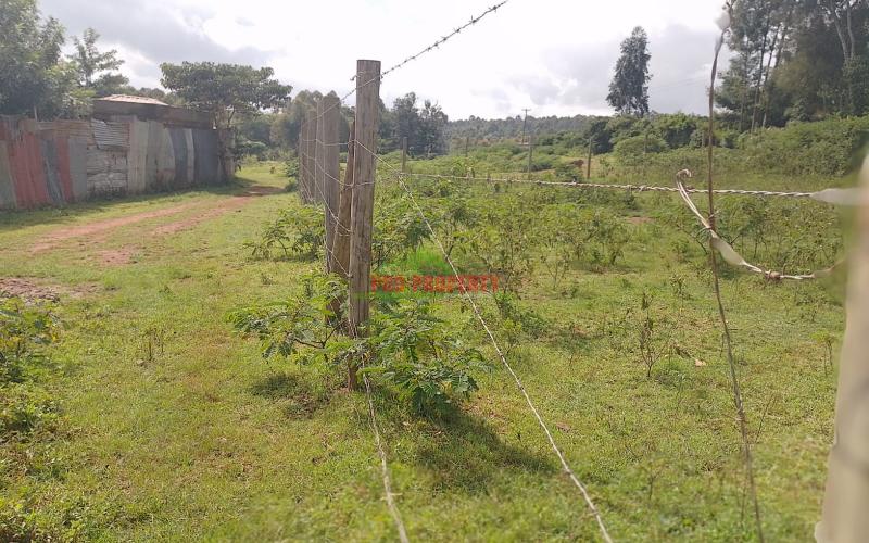 Prime 80 By 100ft Plots For In Gikambura