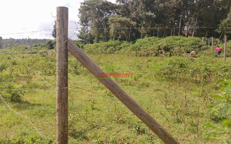 Prime 80 By 100ft Plots For In Gikambura
